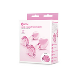 B-Vibe Pink Roses Glass Butt Plug Training Set